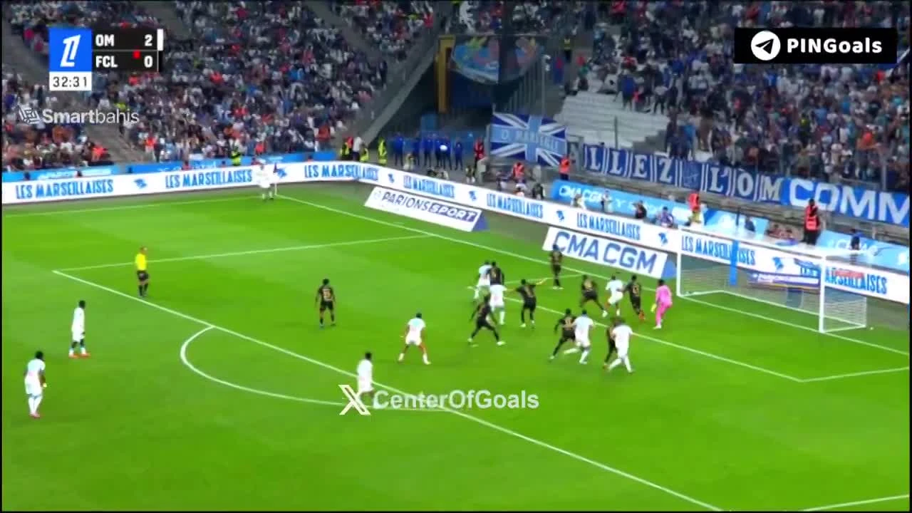 zaslepka skrotu video