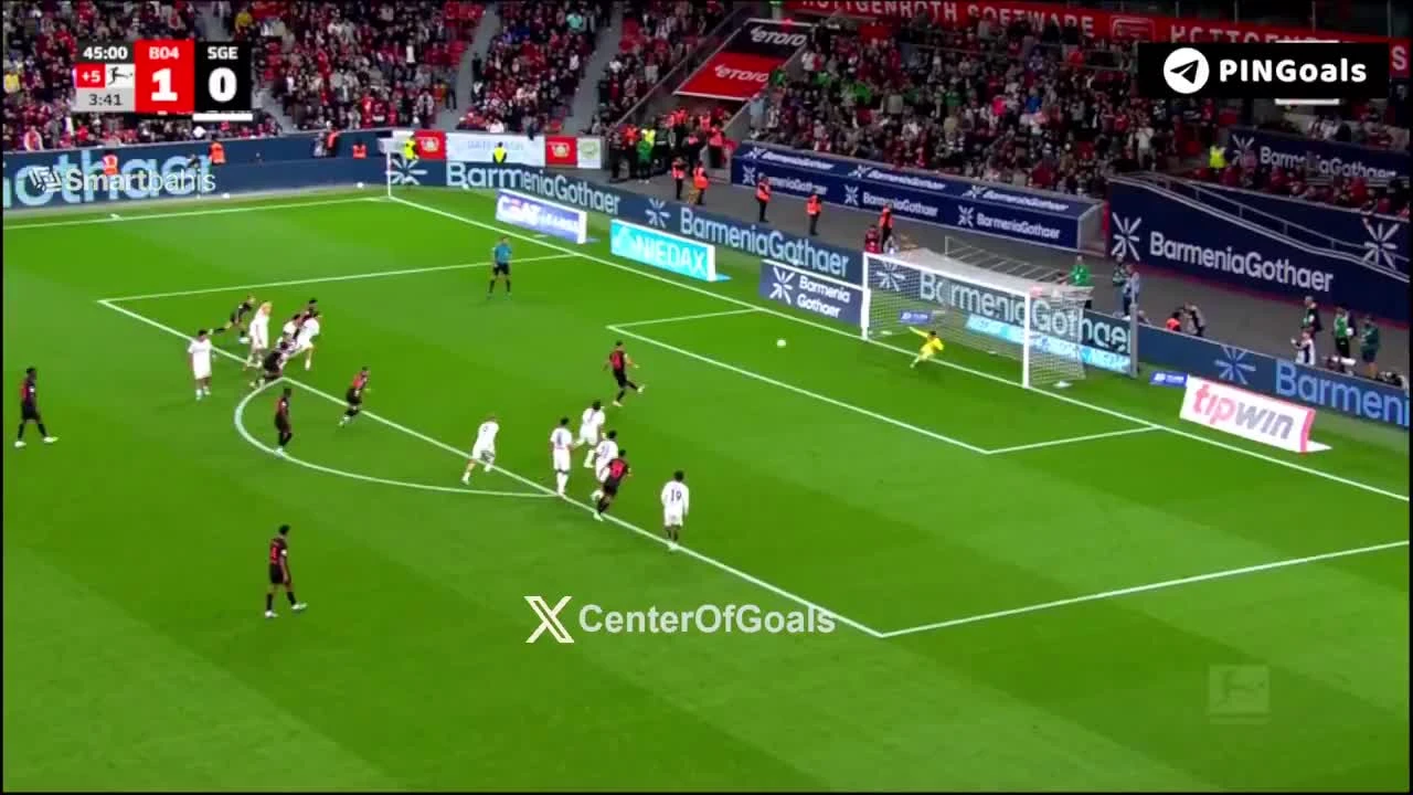 zaslepka skrotu video