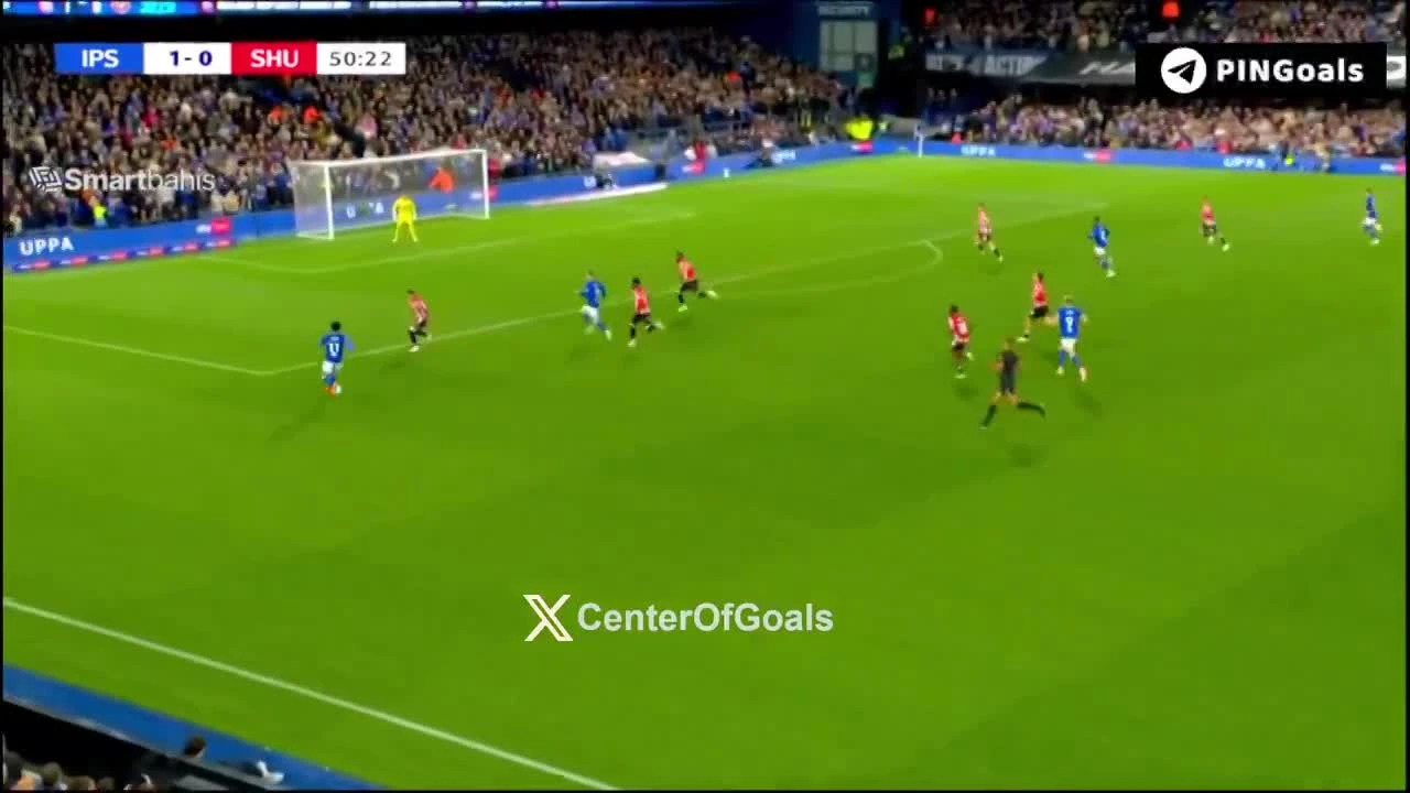 zaslepka skrotu video