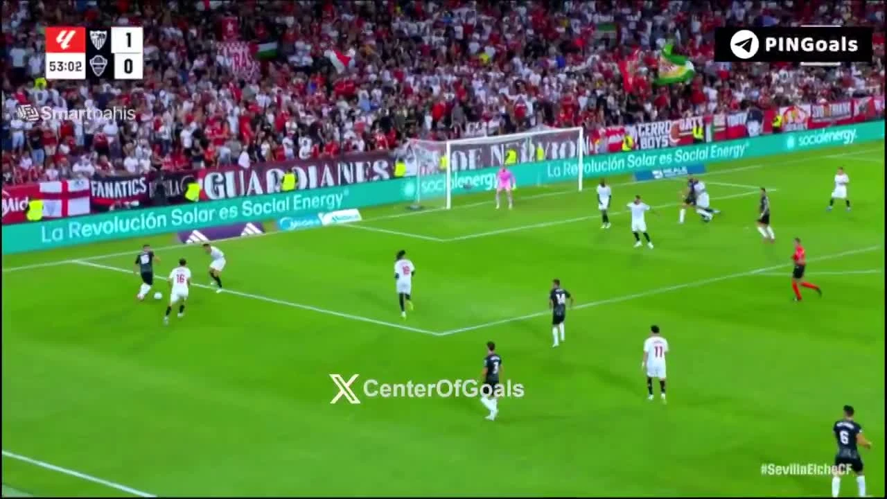 zaslepka skrotu video