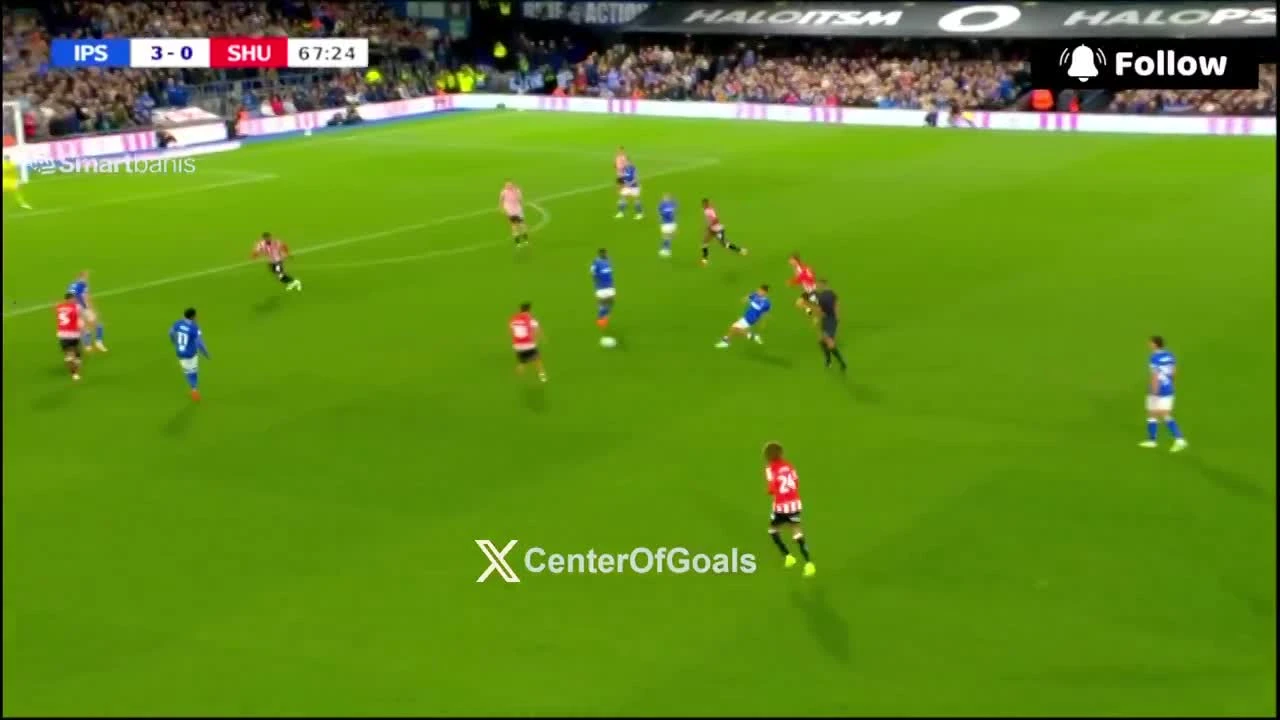 zaslepka skrotu video