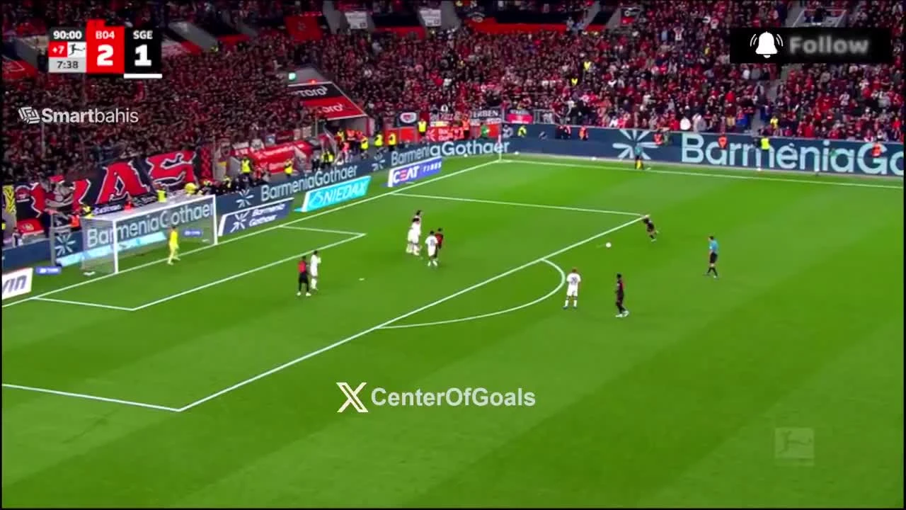 zaslepka skrotu video