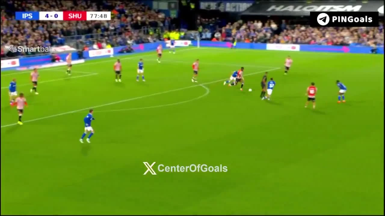zaslepka skrotu video