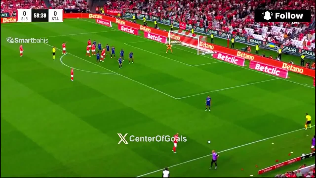 zaslepka skrotu video