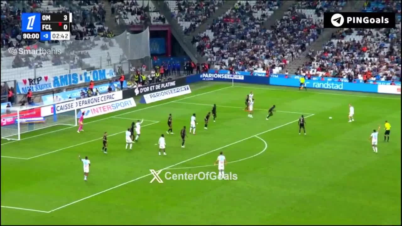 zaslepka skrotu video