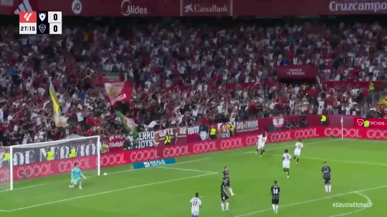zaslepka skrotu video