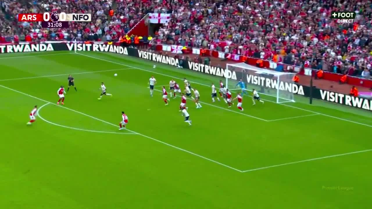 zaslepka skrotu video