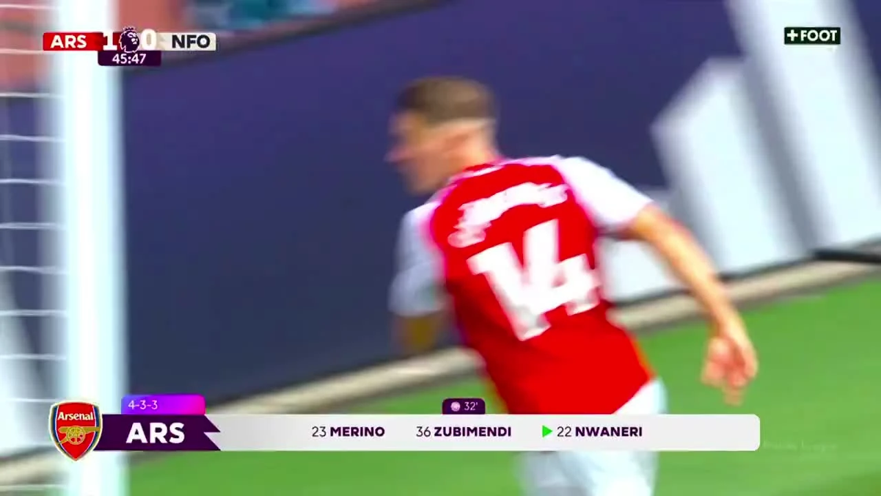 zaslepka skrotu video