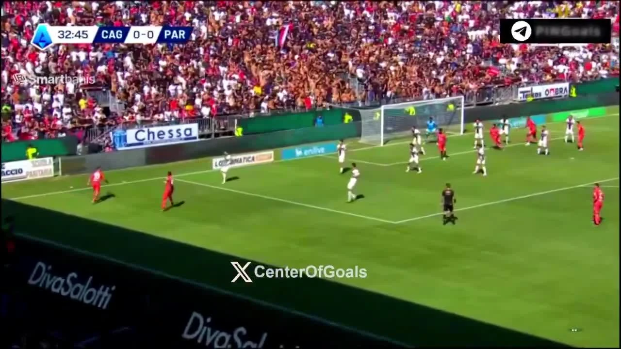 zaslepka skrotu video