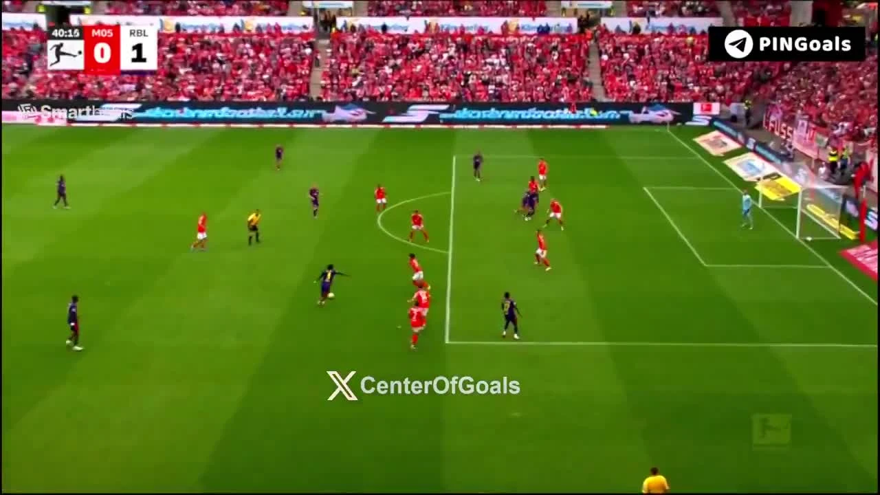 zaslepka skrotu video