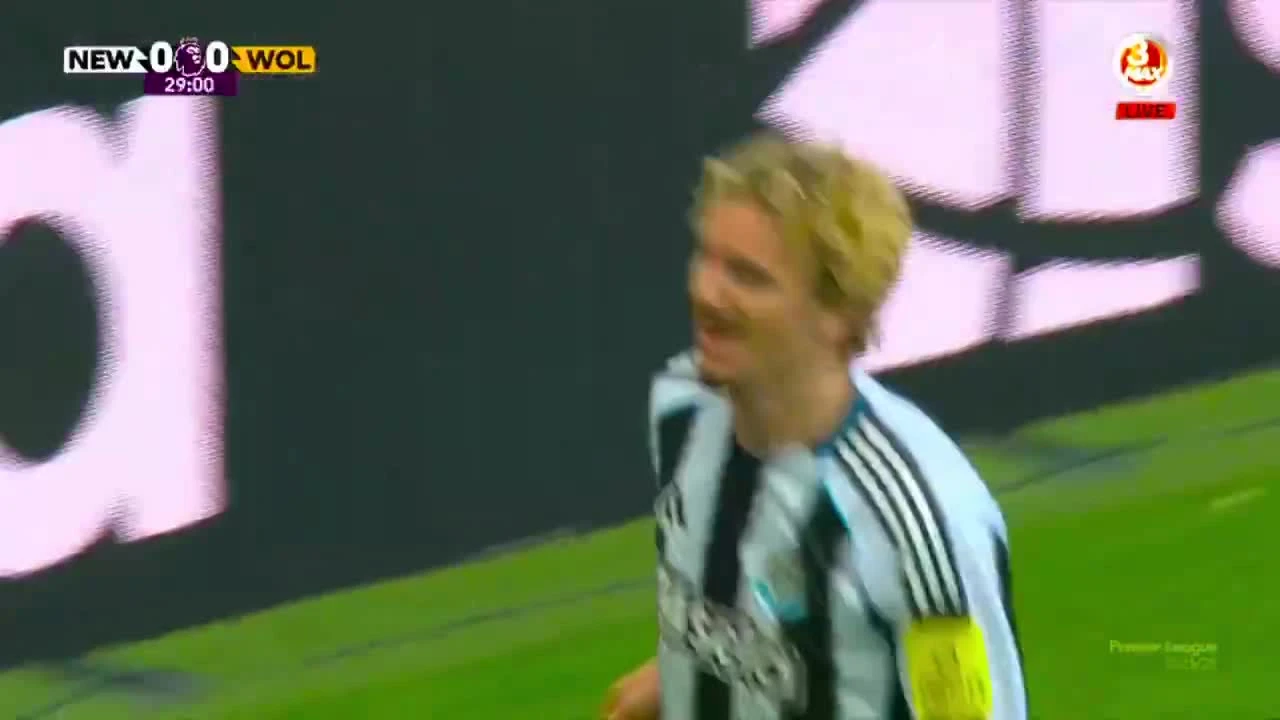 zaslepka skrotu video