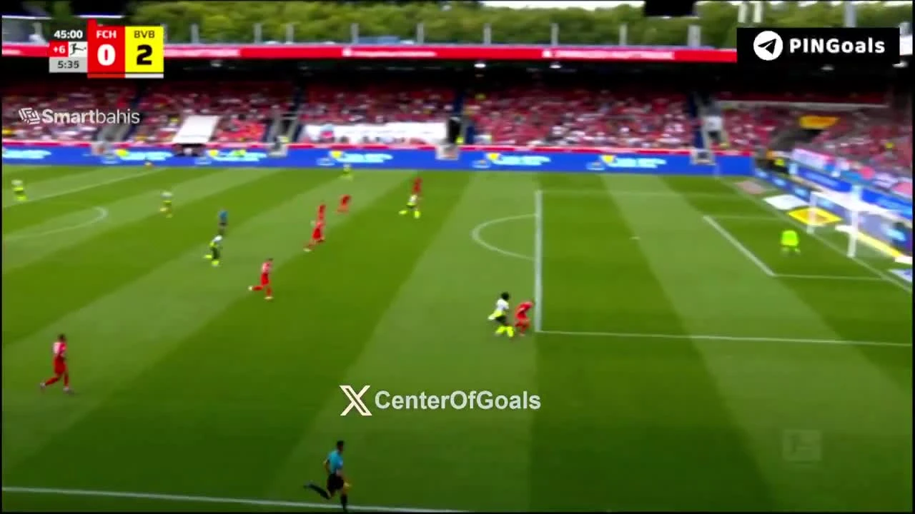 zaslepka skrotu video