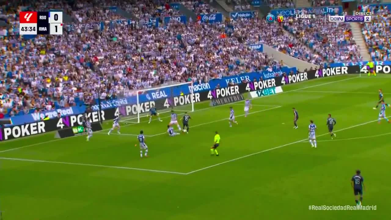 zaslepka skrotu video
