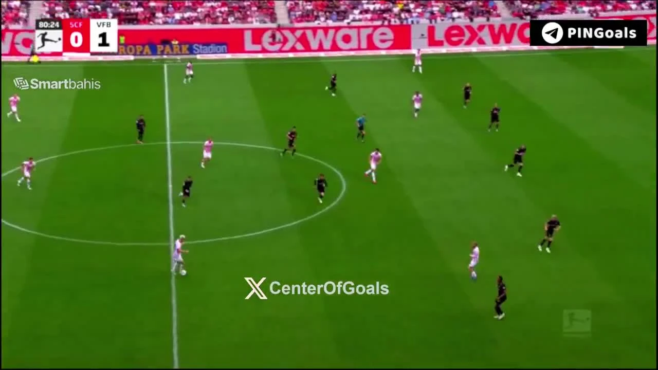 zaslepka skrotu video