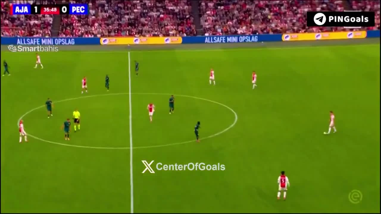zaslepka skrotu video