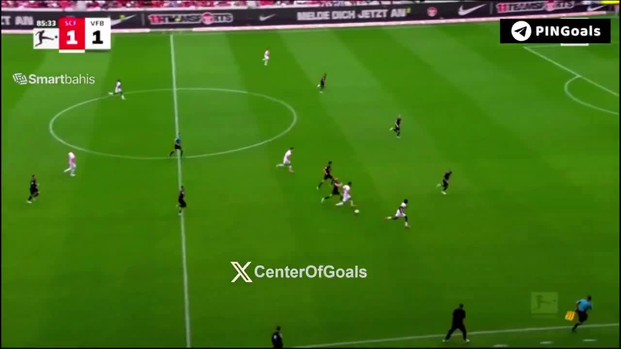 zaslepka skrotu video