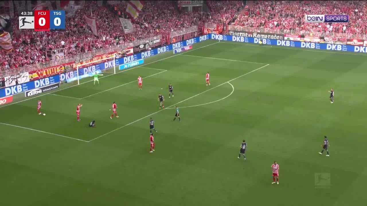 zaslepka skrotu video