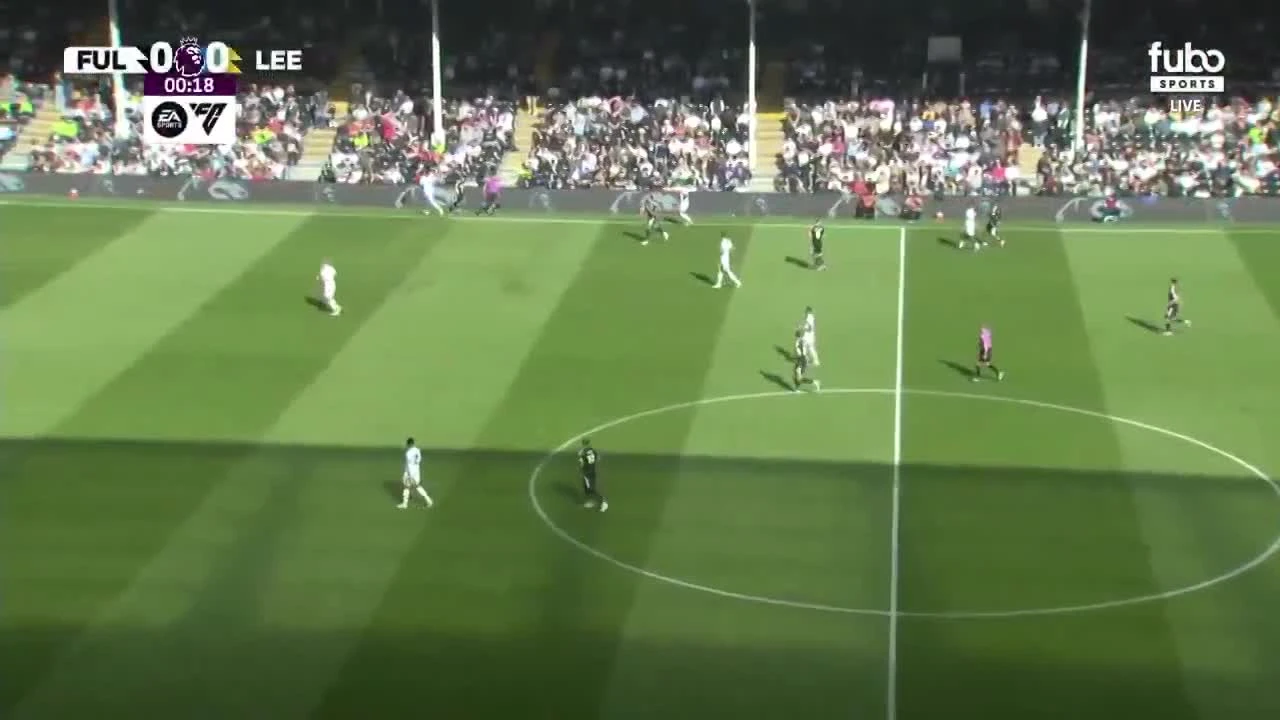 zaslepka skrotu video