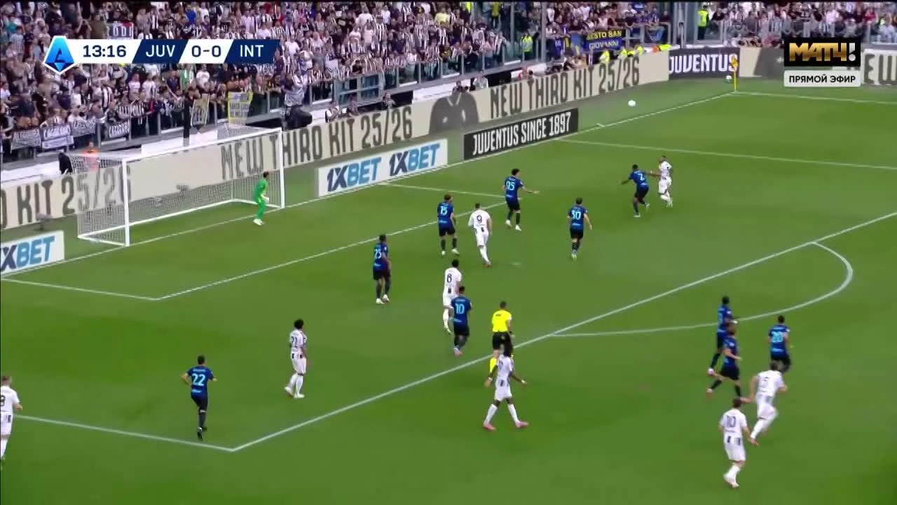 zaslepka skrotu video