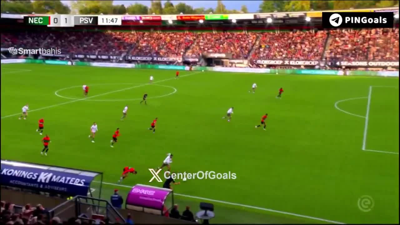 zaslepka skrotu video