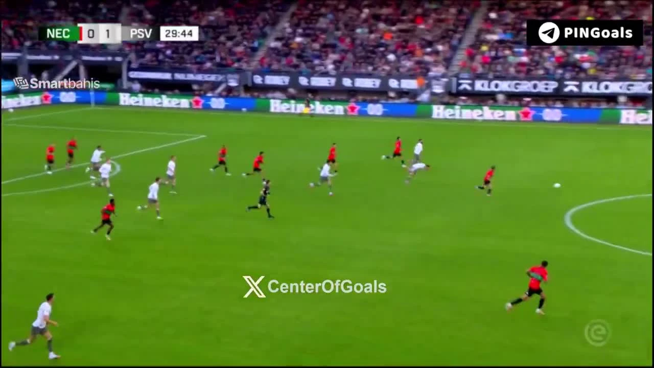 zaslepka skrotu video