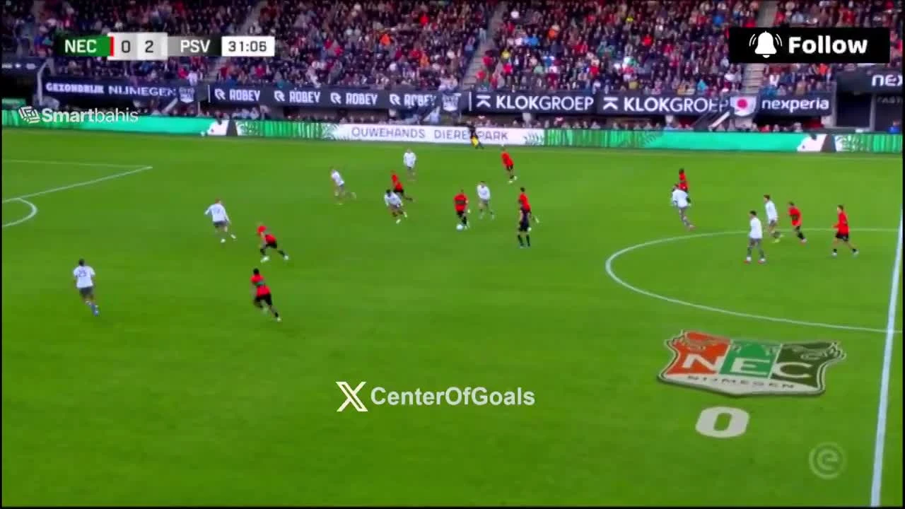 zaslepka skrotu video