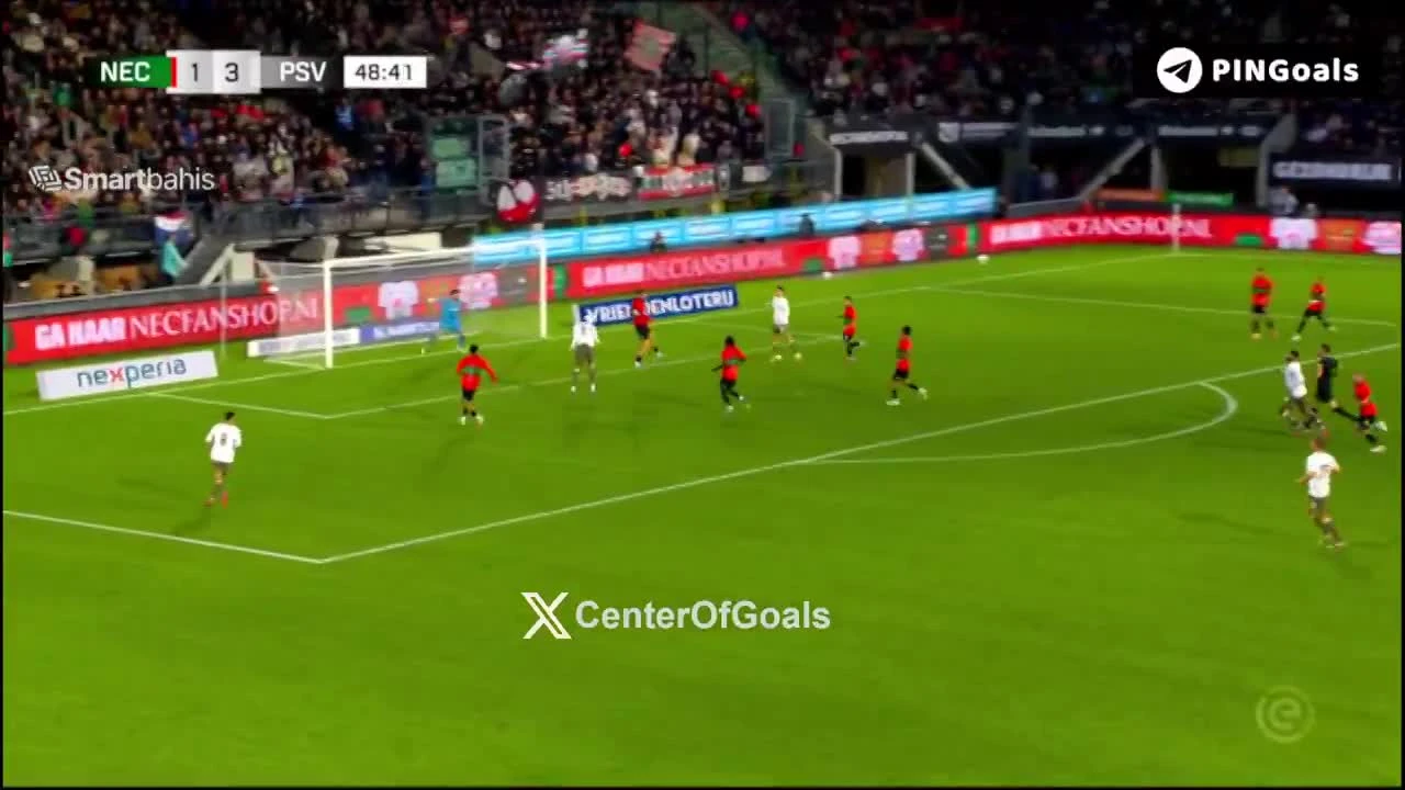 zaslepka skrotu video