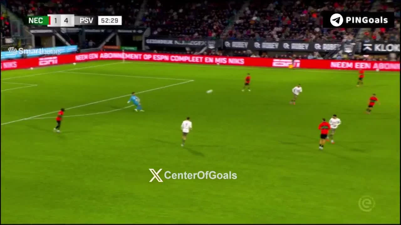 zaslepka skrotu video