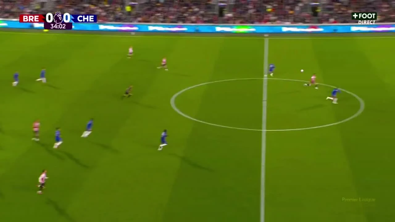 zaslepka skrotu video