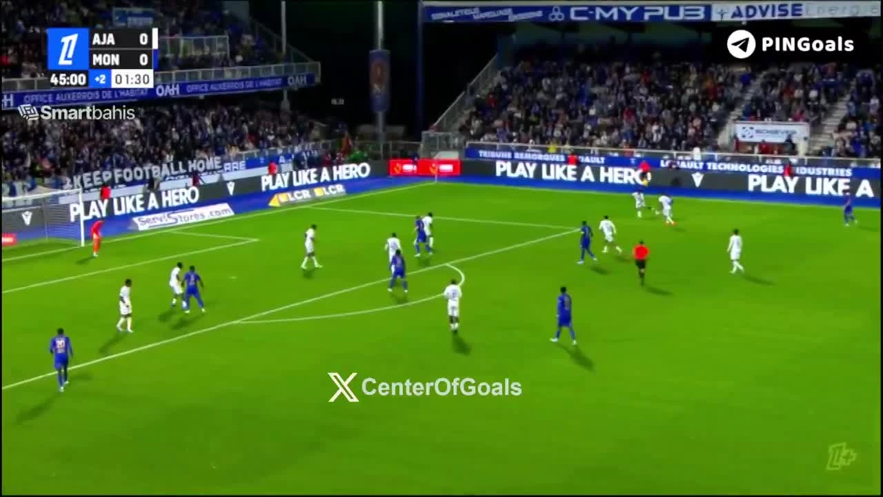 zaslepka skrotu video
