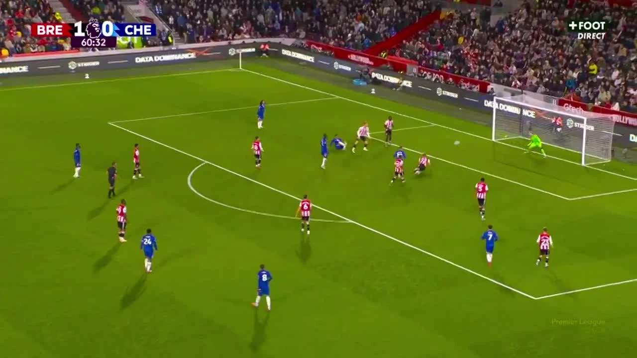 zaslepka skrotu video