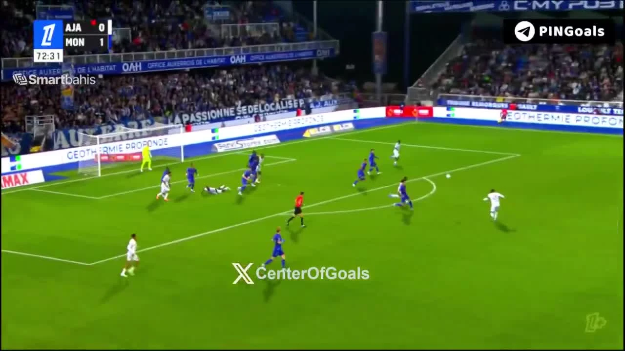 zaslepka skrotu video
