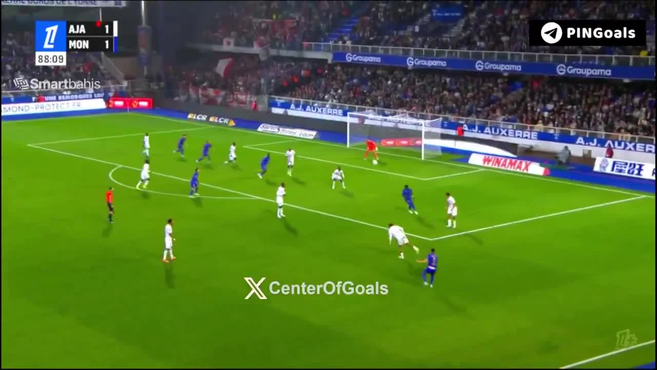 zaslepka skrotu video