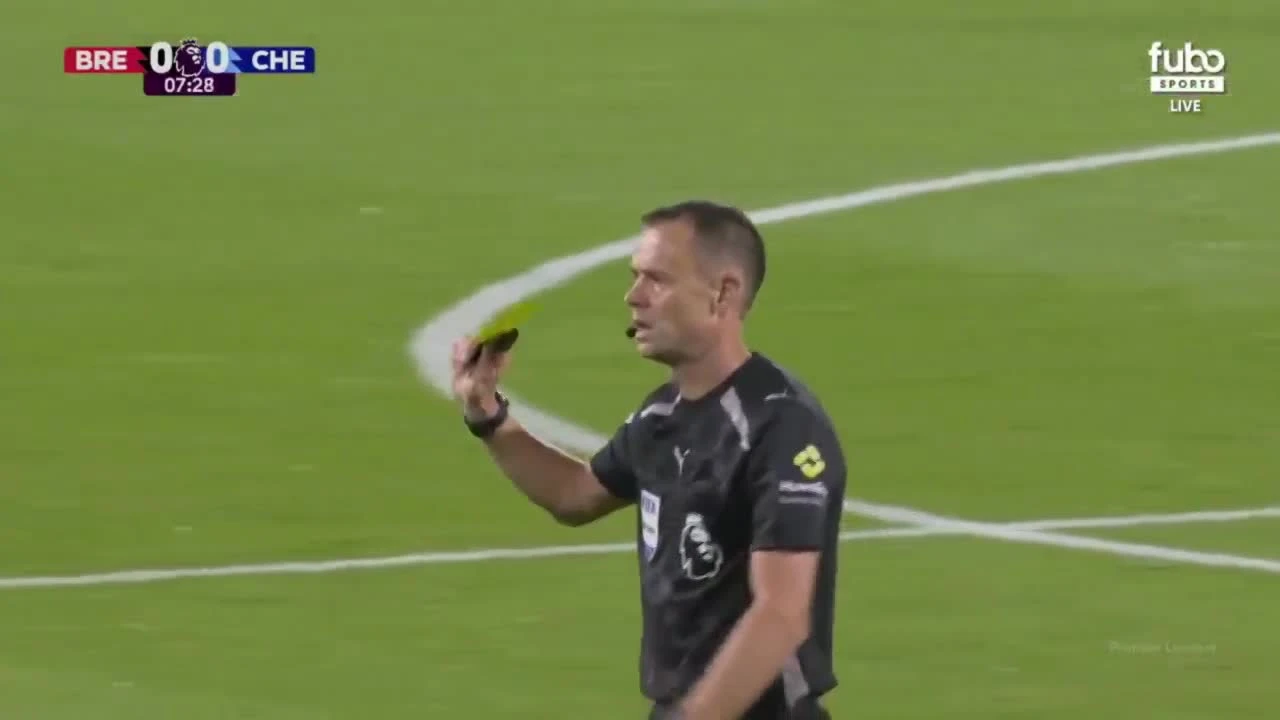 zaslepka skrotu video