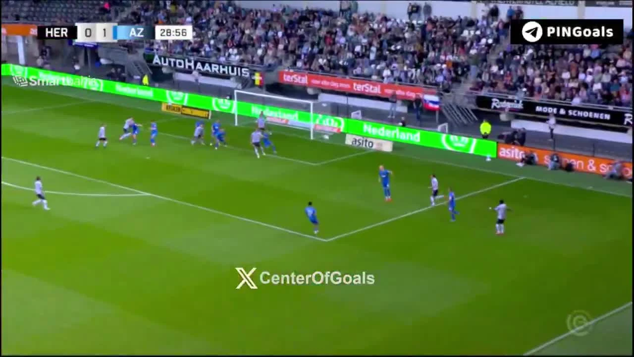 zaslepka skrotu video