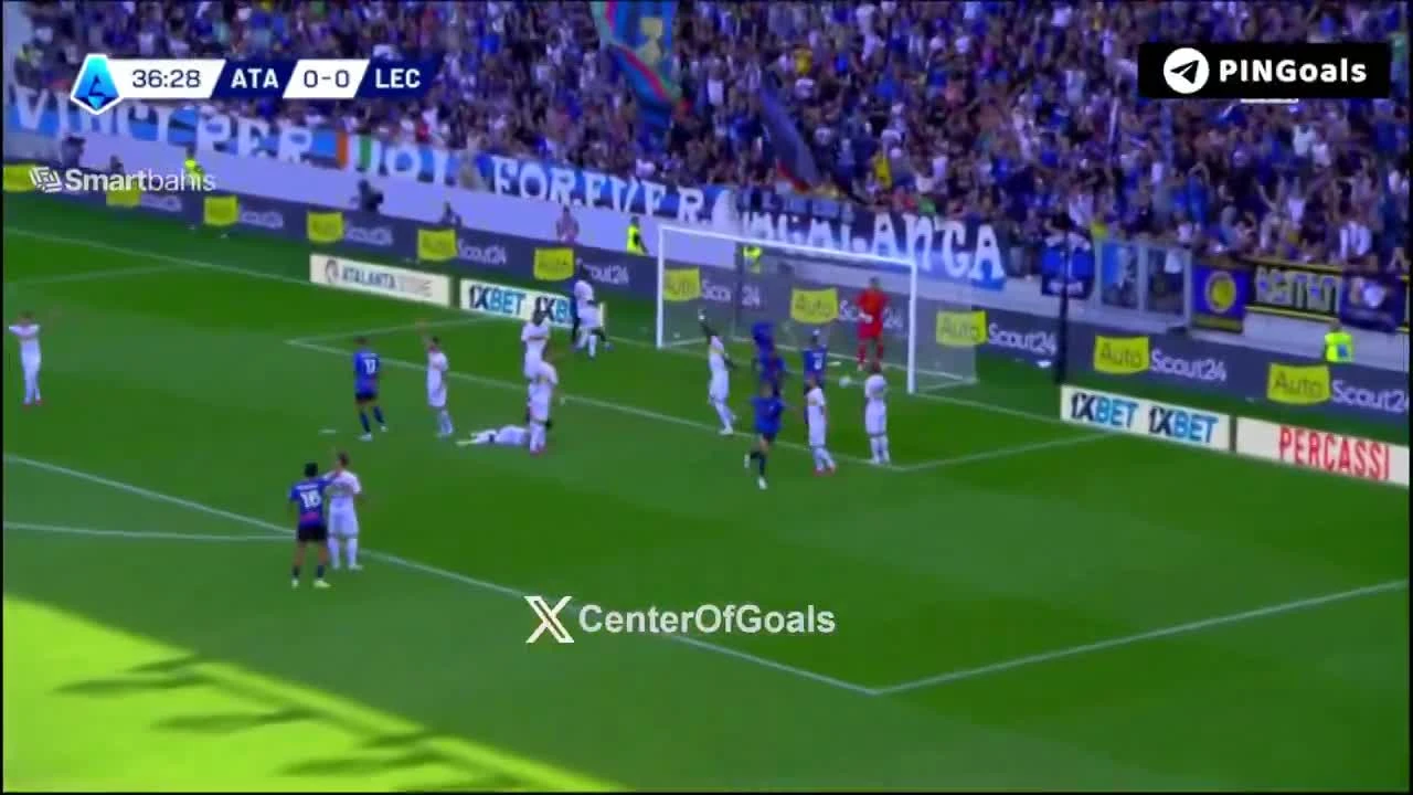 zaslepka skrotu video