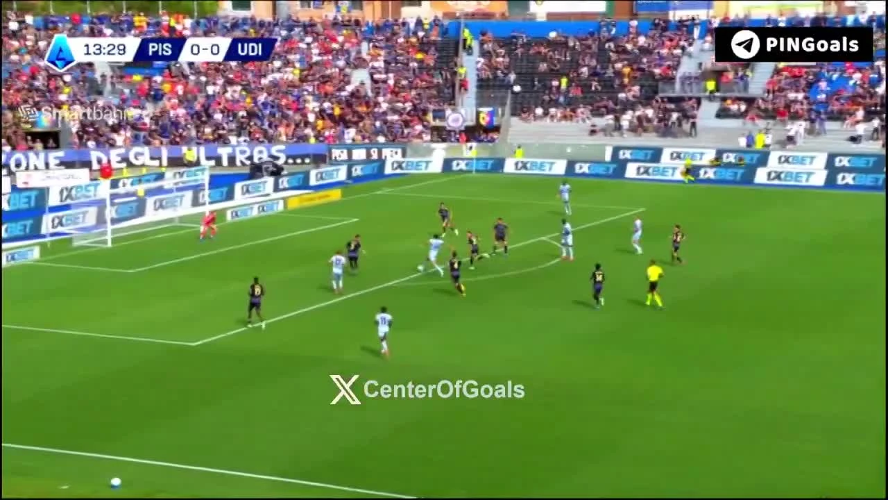 zaslepka skrotu video