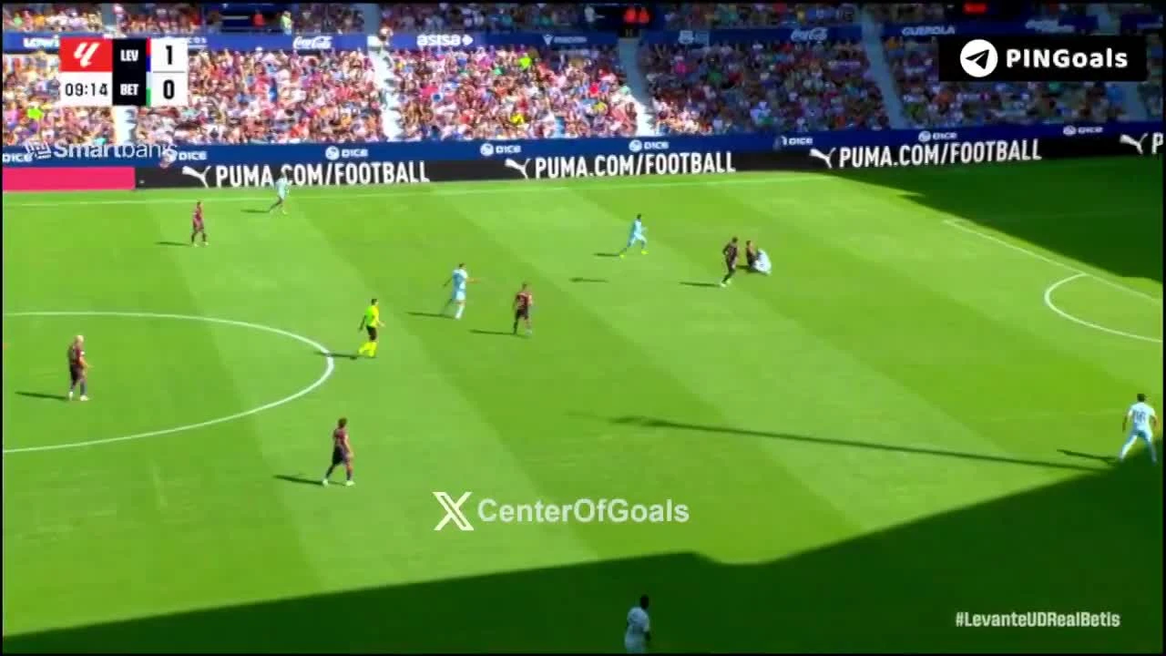 zaslepka skrotu video