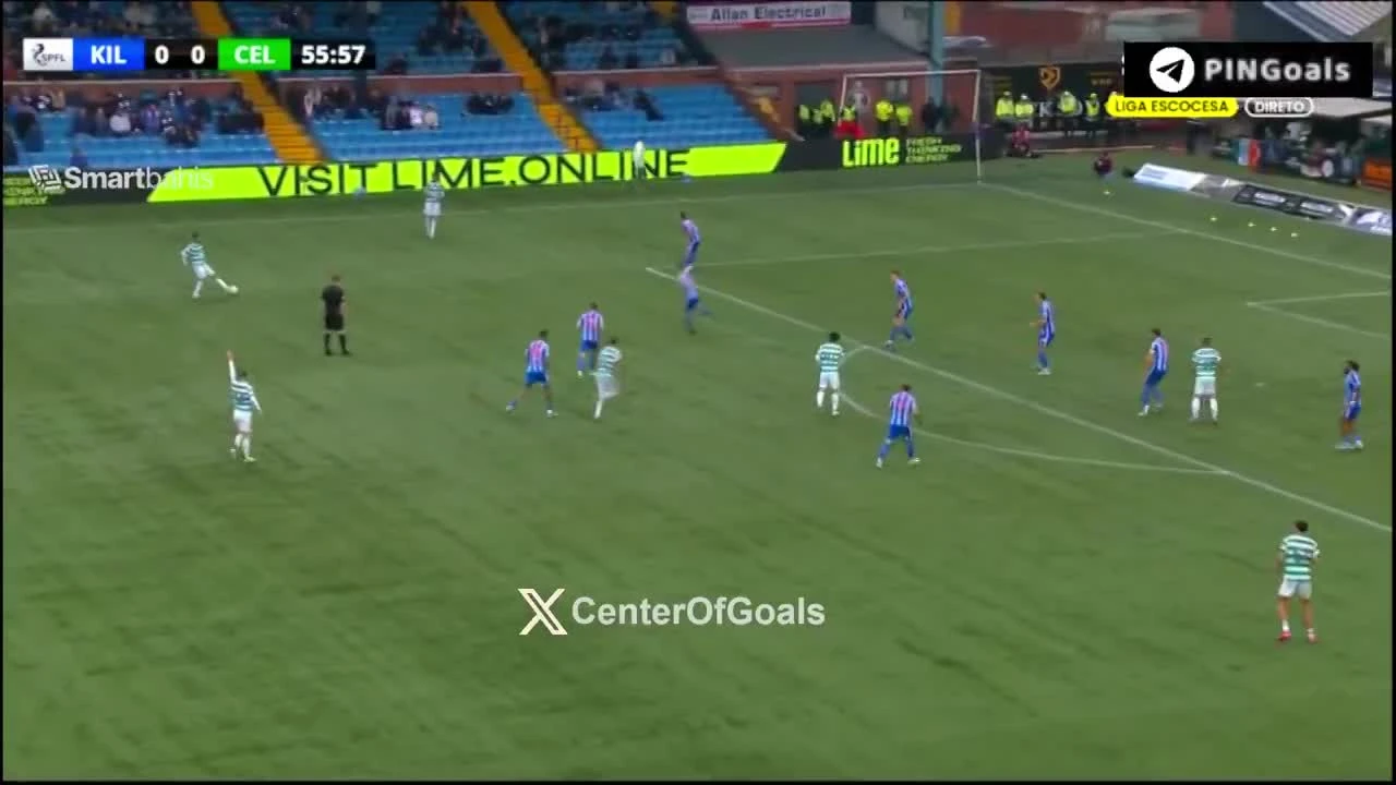 zaslepka skrotu video