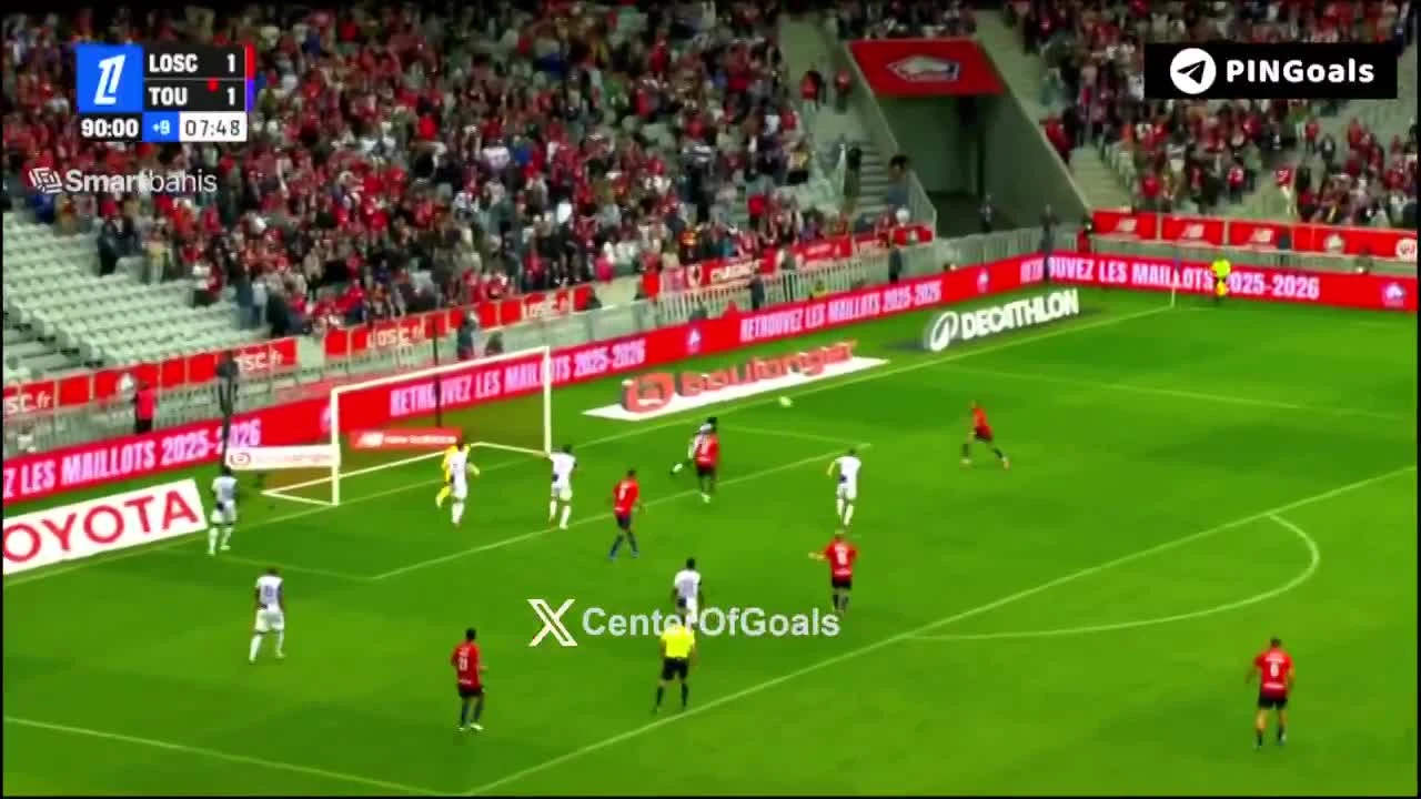 zaslepka skrotu video