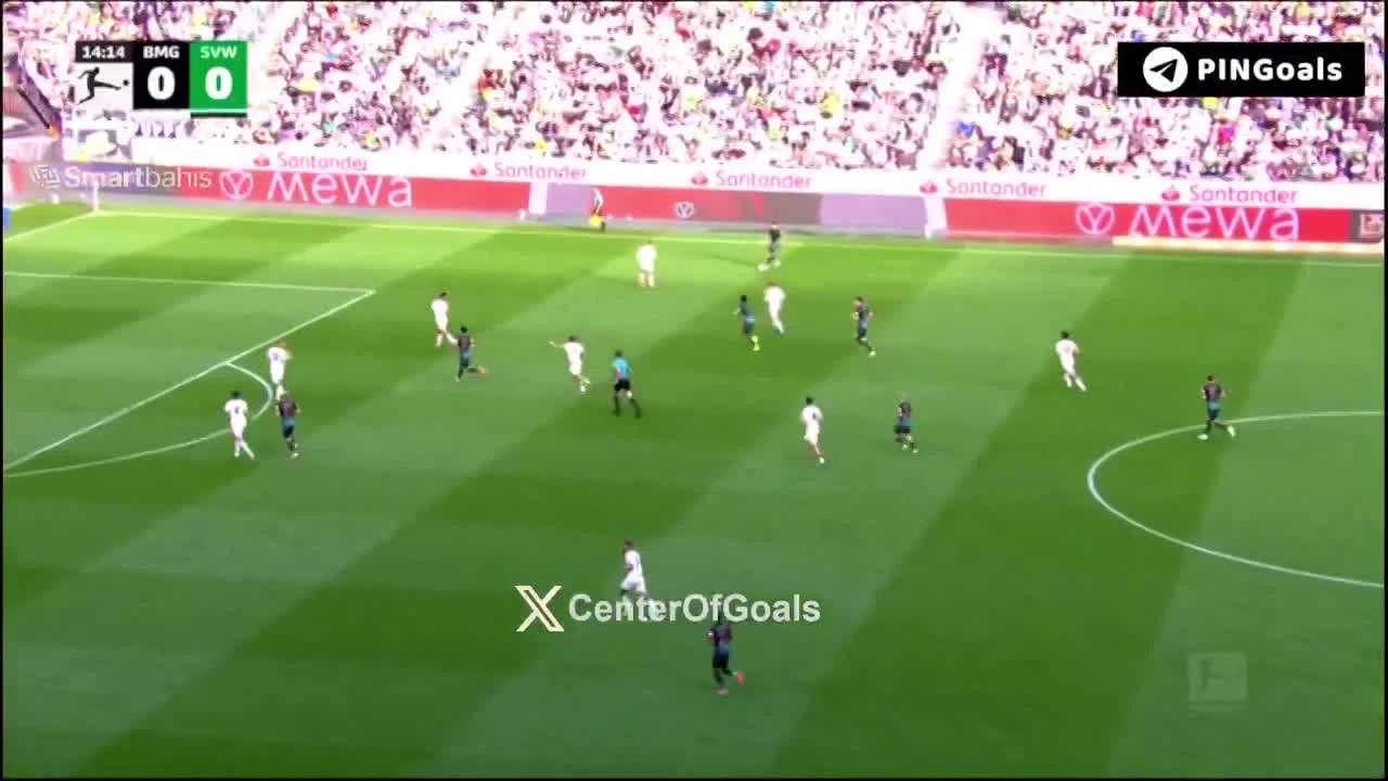 zaslepka skrotu video