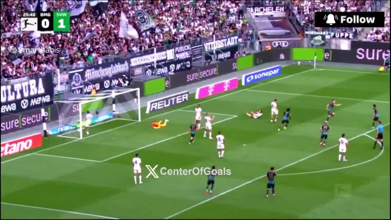 zaslepka skrotu video