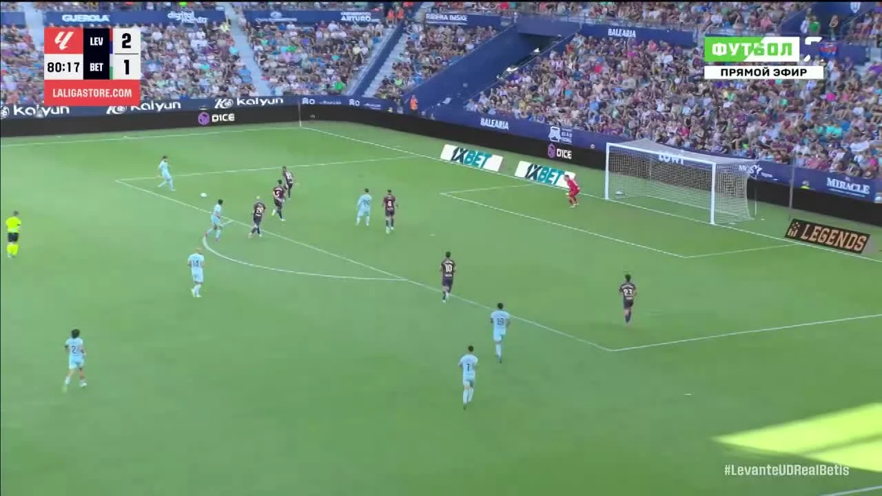 zaslepka skrotu video