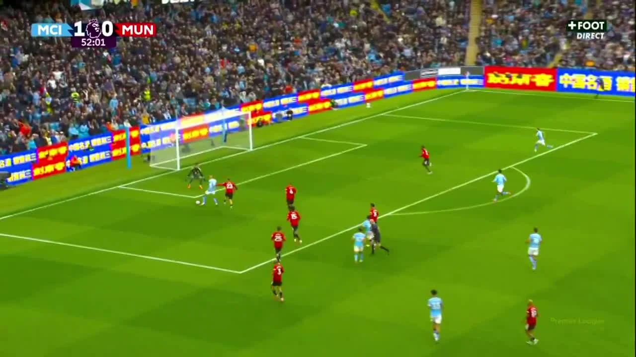 zaslepka skrotu video