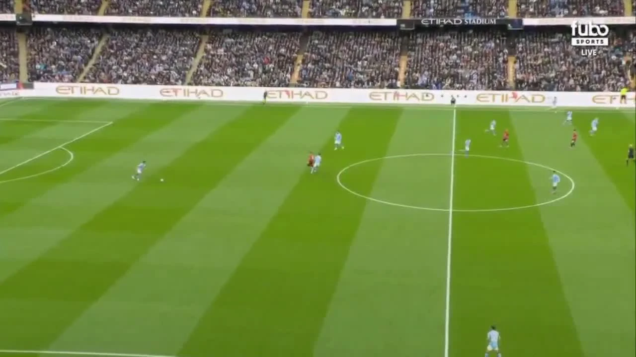 zaslepka skrotu video