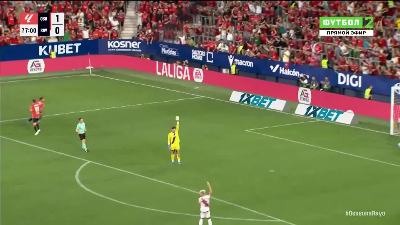 zaslepka skrotu video