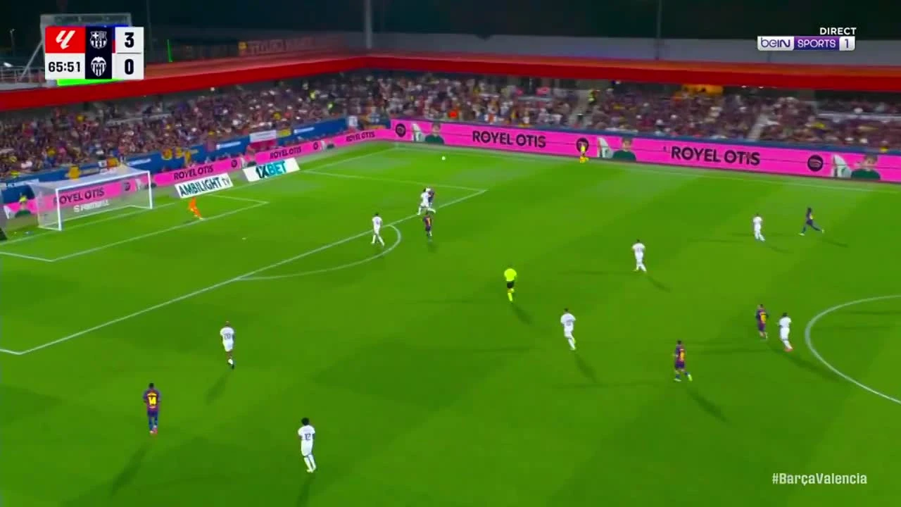 zaslepka skrotu video
