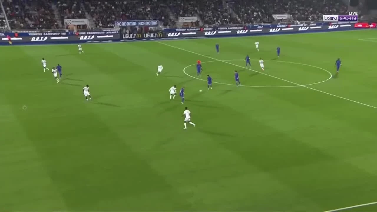 zaslepka skrotu video