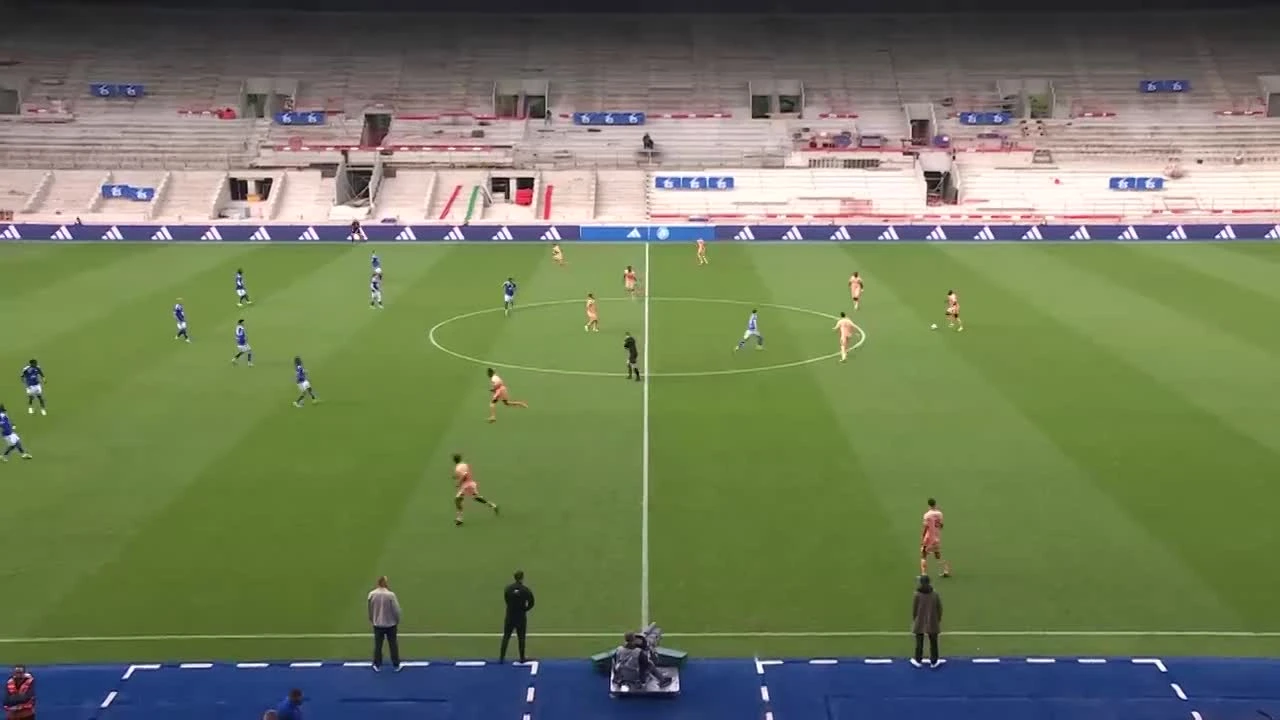 zaslepka skrotu video