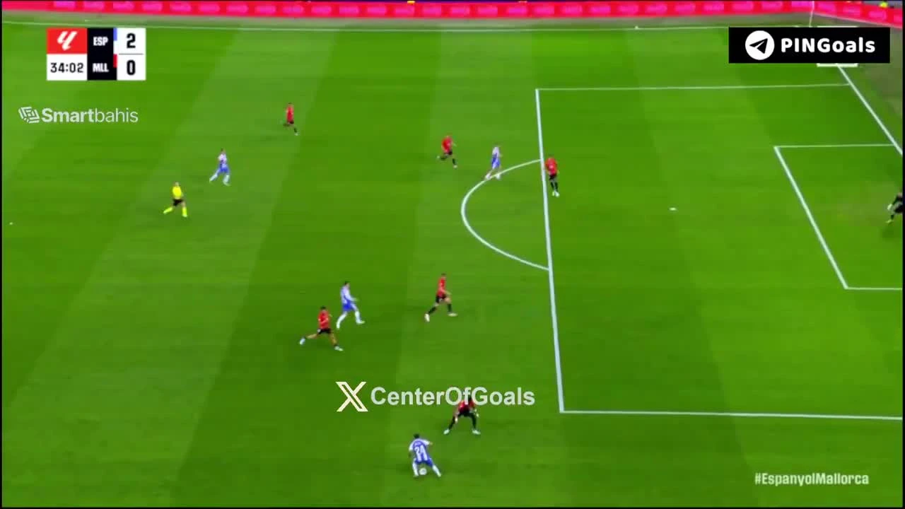 zaslepka skrotu video